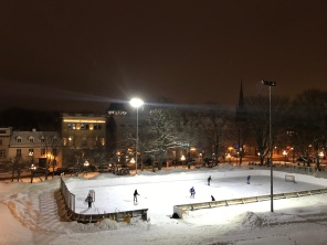 Ice hockey in the park